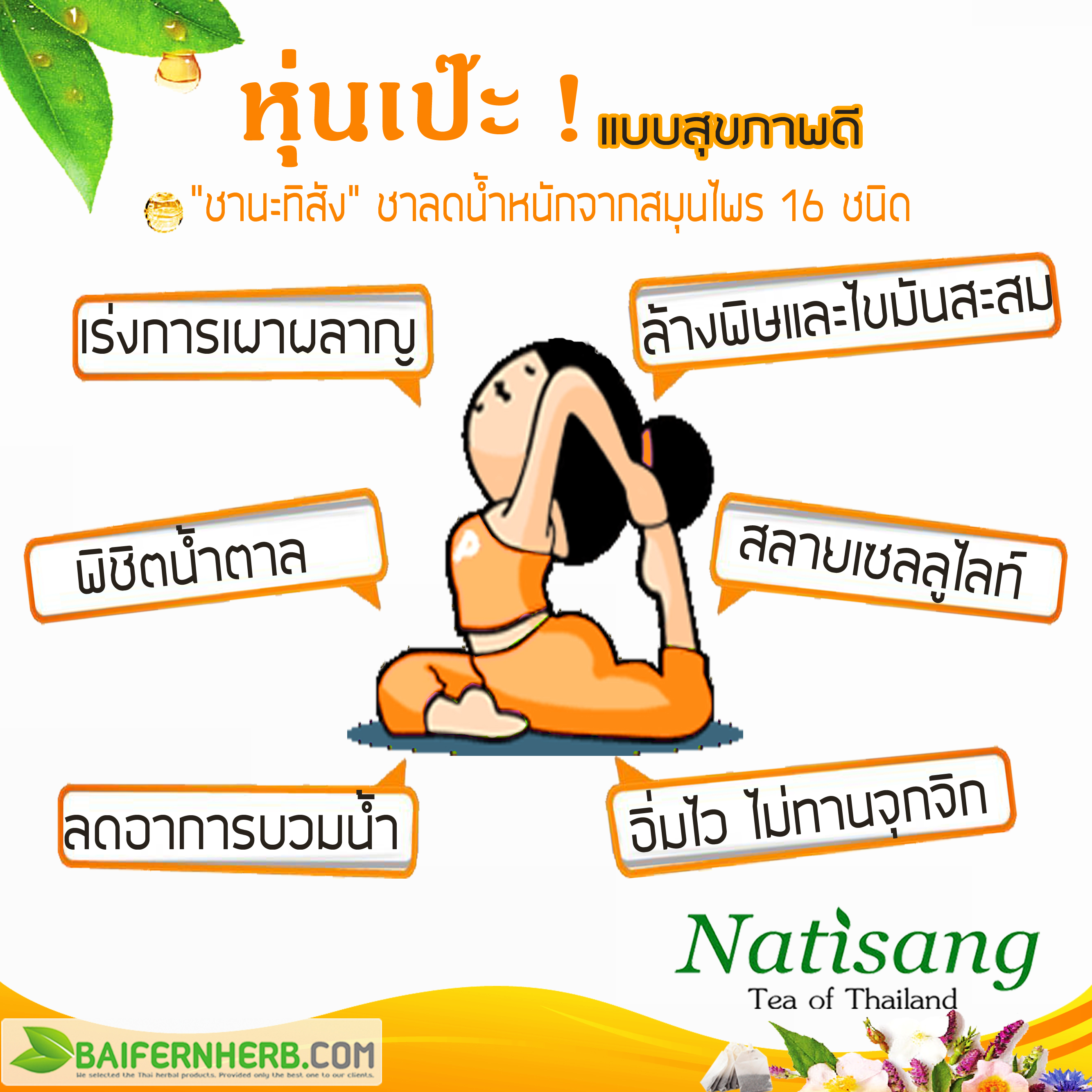 ชานะทิสัง Natisang Tea ชานะทิสัง Natisang Tea