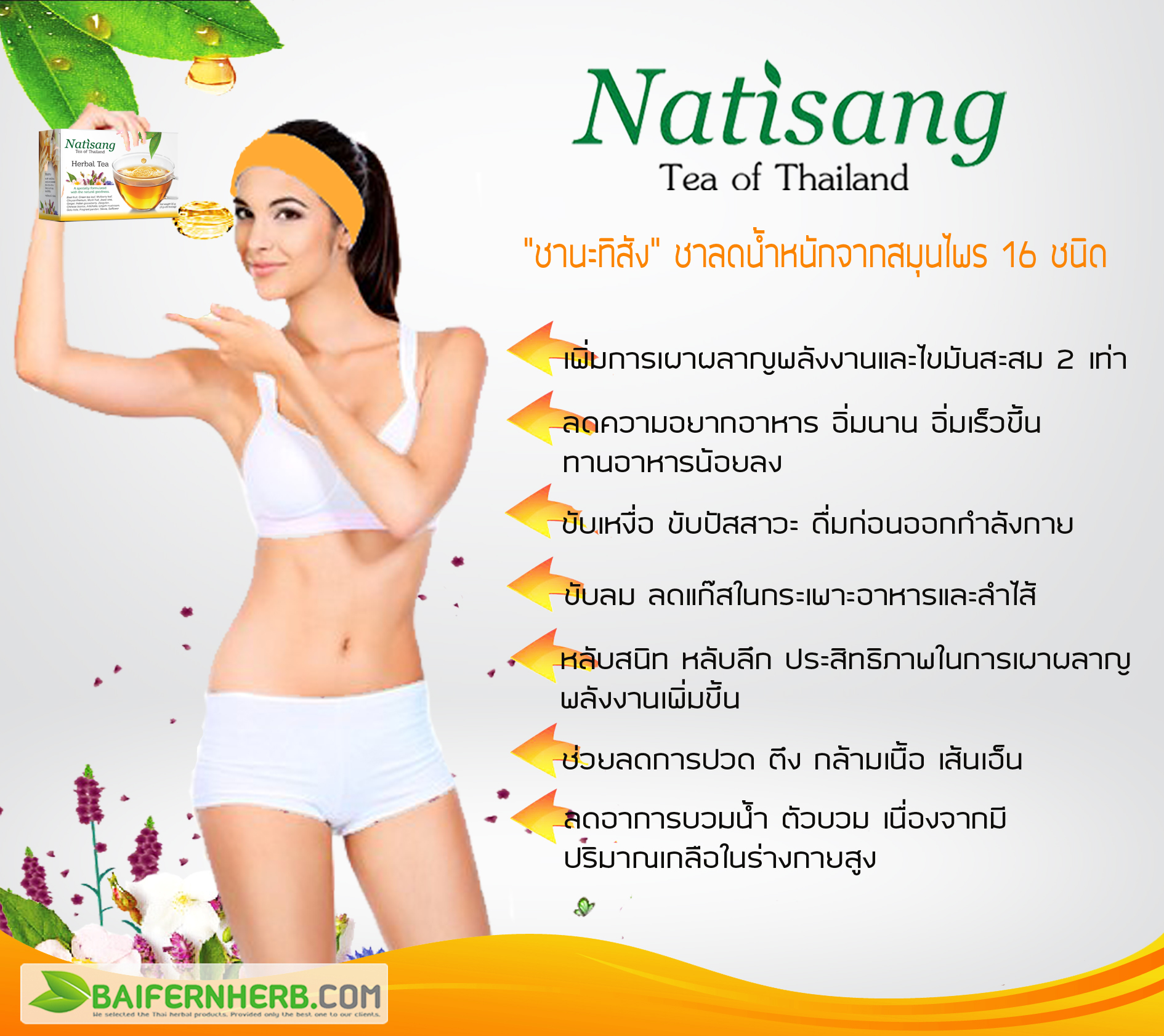 ชานะทิสัง Natisang Tea ชานะทิสัง Natisang Tea