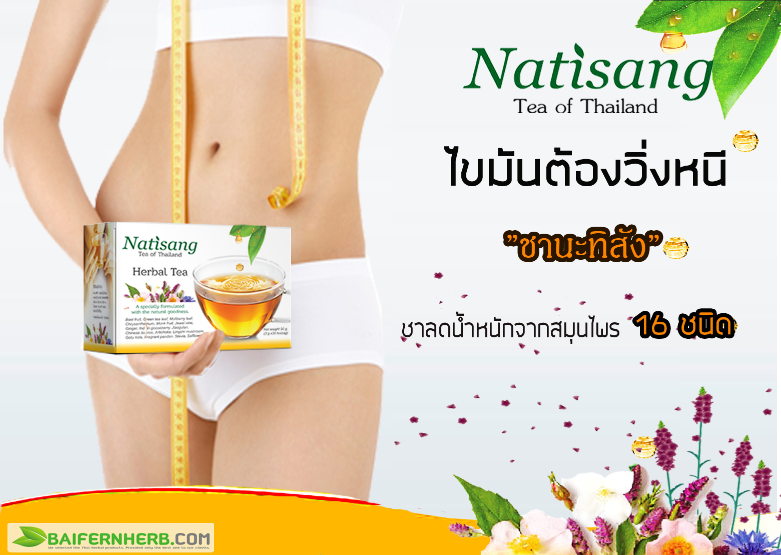 ชานะทิสัง Natisang Tea ชานะทิสัง Natisang Tea