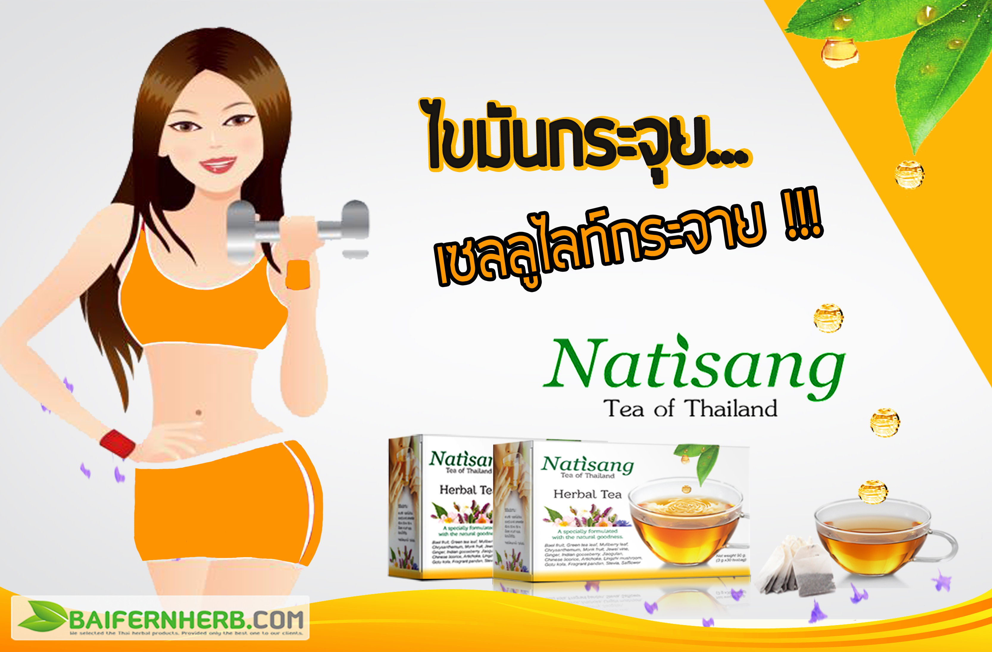 ชานะทิสัง Natisang Tea ชานะทิสัง Natisang Tea