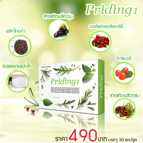ไพรดิ้ง วัน (PRIDING ONE) 30 แคป ไพรดิ้ง วัน (PRIDING ONE) 30 แคป