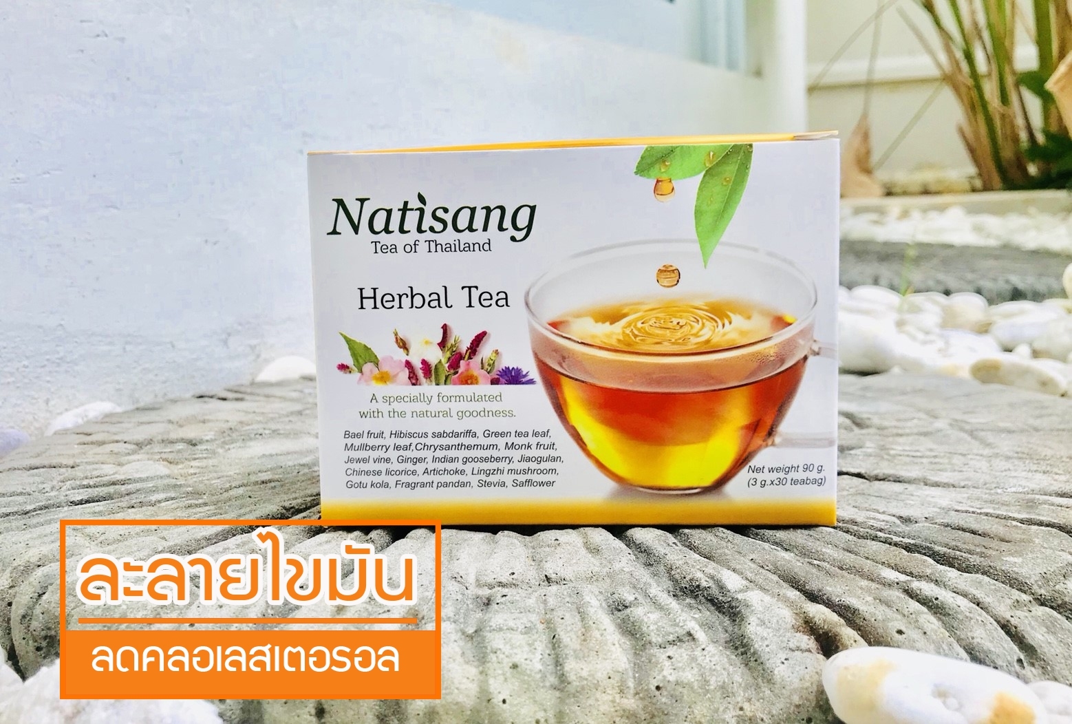 ชานะทิสัง Natisang Tea ชานะทิสัง Natisang Tea